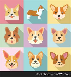 Corgi dogs icons set. Flat set of corgi dogs vector icons for web design. Corgi dogs icons set, flat style
