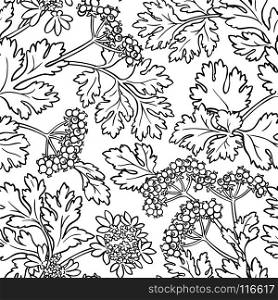 coriander seamless pattern. coriander plant seamless pattern on color background