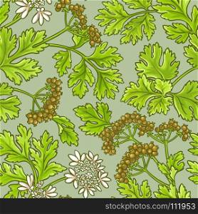 coriander vector pattern. coriander plant vector pattern on color background