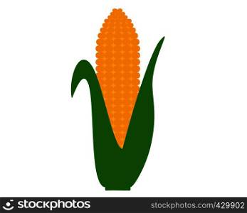 Corn cob on white
