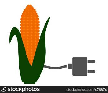 Corn cob on white
