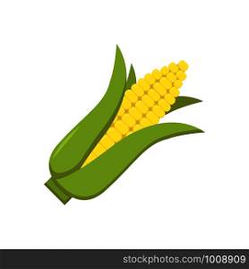 corn cob on white background in flat style. corn cob on white background in flat