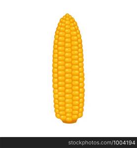 Corn cobs on white background, vector illustration