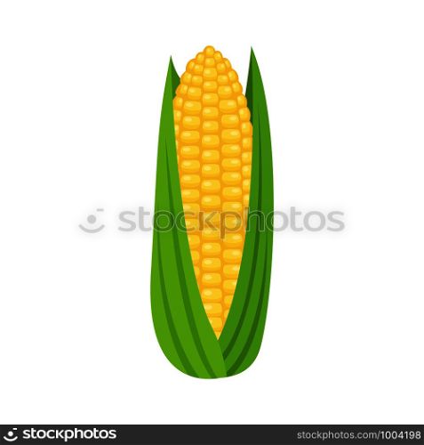 Corn cobs on white background, vector illustration