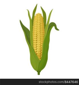 Corn drawing cartoon, large cob with leaves and grains. Corn icon