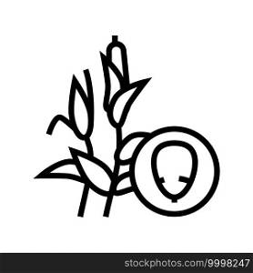 corn groat line icon vector. corn groat sign. isolated contour symbol black illustration. corn groat line icon vector illustration