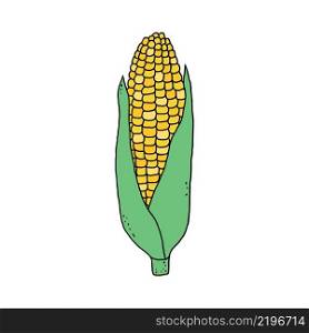 Corn in doodle style isolated on white background.