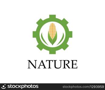 Corn nature industry logo vector illustration