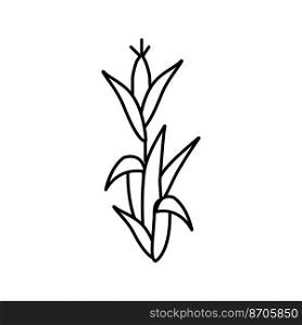 corn plant green line icon vector. corn plant green sign. isolated contour symbol black illustration. corn plant green line icon vector illustration