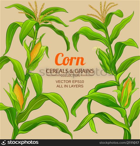 corn vector frame on color background. corn vector frame