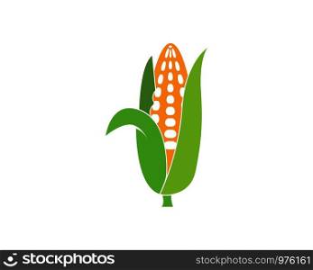 corn vector icon illustration design template