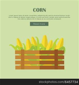 Corn vector web banner. Flat design. Illustration of wooden box full of fresh and ripe cereals on color background for grocery shop, farm, agricultural company web page design. . Corn Vector Web Banner in Flat Style Design.