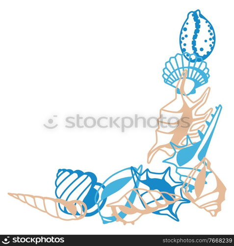 Corner with seashells. Tropical underwater mollusk shells decorative illustration.. Corner with seashells.