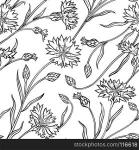 cornflower seamless pattern. cornflower plant seamless pattern on white background