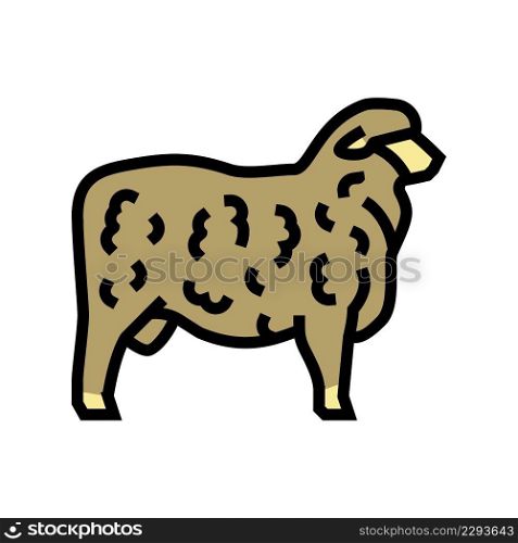 corriedale sheep color icon vector. corriedale sheep sign. isolated symbol illustration. corriedale sheep color icon vector illustration