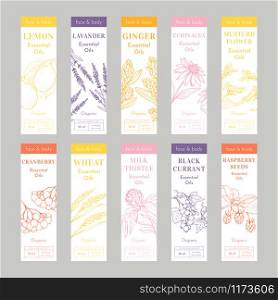 Cosmetic Essencial Oils Vertical tags. Vector Print Template Set of Flyers or banners. Lavender, Echinacea Herbs. Raspberry Seeds, Black Currant Engraved Berries. Lemon Fruit Sketches.. Cosmetic essencial oils vertical tags. Vector Print Template Set of Flyers or banners.