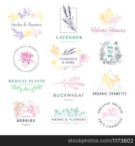 Cosmetic products logo hand drawn vector set. Medical plants, lavender, buckwheat illustrations with typography pack. Natural eco with herbs label, sticker, badge design collection. Organic cosmetic logo products hand drawn vector set