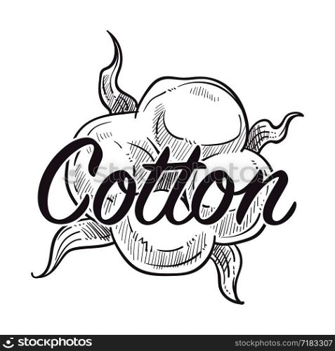 Cotton flower in blossom monochrome sketch outline, poster with text sample vector. Fabric with softness, organic material. Bud of plant with flourishing and leaves foliage, natural products. Cotton flower in blossom monochrome sketch outline poster