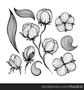 Cotton Flowers Anstract Line Art Contour Drawings. Isolated Single Elements for Decorative and Modern Design. Contour Floral Drawing. Use for wall art decoration prints. Cotton Flowers Anstract Line Art Contour Drawings. Isolated Single Elements for Decorative and Modern Design.