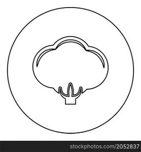 Cotton icon in circle round black color vector illustration image outline contour line thin style simple. Cotton icon in circle round black color vector illustration image outline contour line thin style