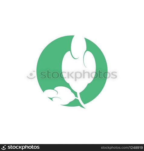 Cotton icon Vector Illustration design Logo template