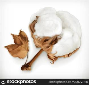 Cotton, vector icon