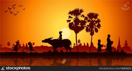 Country life of Asia children play banana horse ride buffalo while monk receivex food. Sunrise time silhouette style