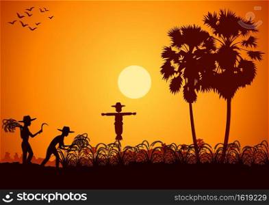 country life of Asia man harvest rice on sunrise time,silhouette style,vector illustration