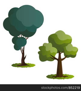 Couple of green trees vector illustration on white background