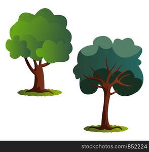 Couple of green trees vector illustration on white background