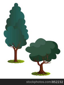 Couple of green trees vector illustration on white background