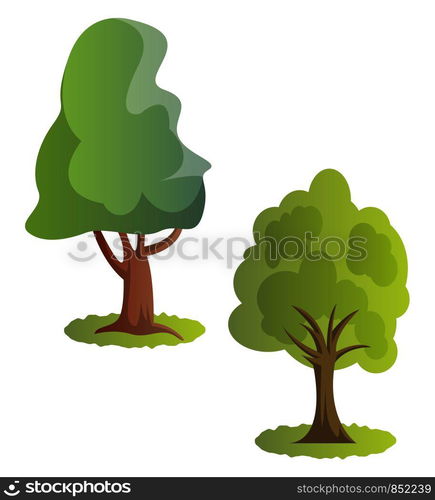 Couple of green trees vector illustration on white background