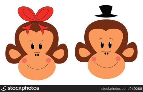 Couple of monkeys vector illustration