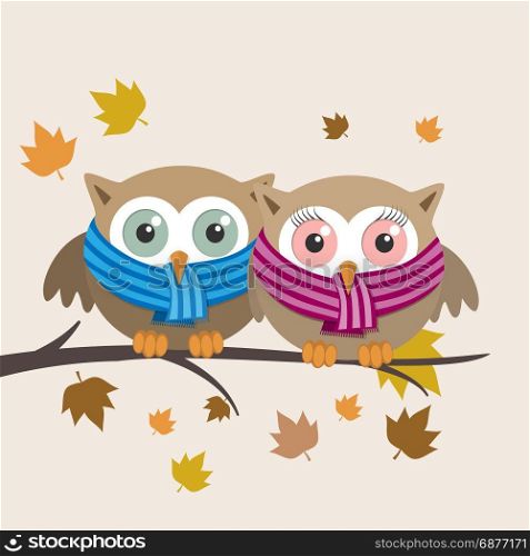 Couple of owls with scarf on a fall day