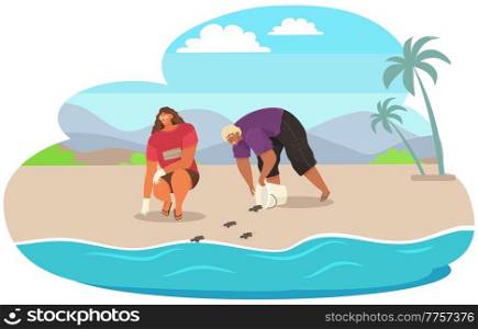 Couple rescuing turtles on beach. Volunteers release animals into open ocean. Reptiles crawl out of buckets and run towards water to swim freely. People take care of turtles on tropical island. Couple rescuing turtles. People take care of reptiles on tropical island. Release animals into ocean