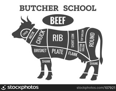 Cow butcher diagram. Cow butcher diagram. Cutting beef meat or steak cuts diagram chart for restaurant poster vector illustration