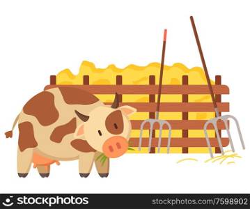 Cow domestic animal giving milk vector, isolated character with spots on fur walking along wooden fence with hay fork and instruments for agriculture. Cow Walking Hay Bale and Fence of Wood Vector