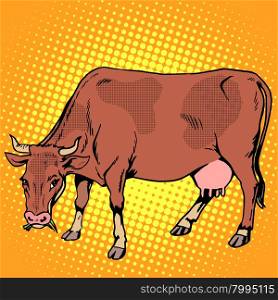 Cow eating grass farm animals pop art retro style. Ranch and agriculture. Meat and dairy industry and business. . Cow eating grass farm animals
