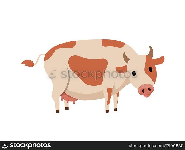 Cow emblem in simple style vector icon isolated on white. Big domestic animal, horned dairy cattle with spots on skin on back, with udder with milk. Cow Isolated Emblem in Cartoon Style Vector Icon