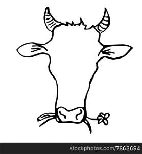 Cow Head Hand Drawing. Line Art. The Cow is Shewing a Flower.