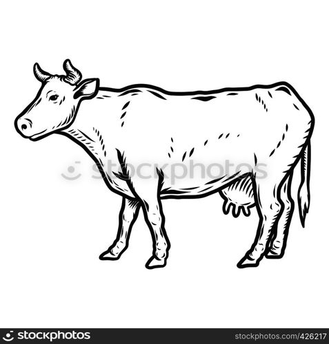 Cow icon. Hand drawn illustration of cow vector icon for web design. Cow icon, hand drawn style