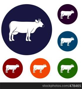 Cow icons set in flat circle red, blue and green color for web. Cow icons set