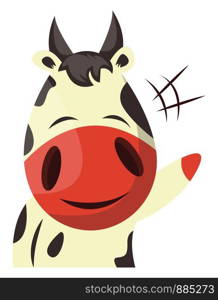 Cow is waving, illustration, vector on white background.