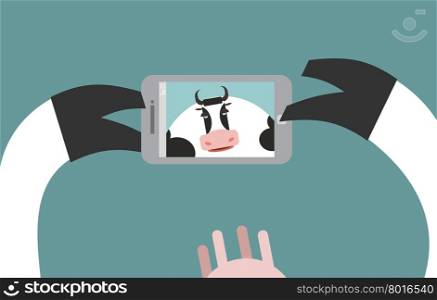 Cow makes selfie. Farm Animal clicks on a Smartphone. Vector illustration.&#xA;