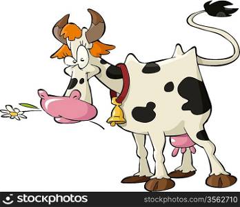 Cow on a white background vector illustration