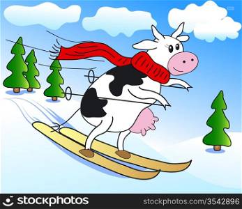 Cow on ski