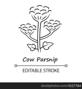 Cow parsnip linear icon. Hogweed blooming flower with name. Herbaceous plant. Heracleum maximum. Indian celery. Thin line illustration. Contour symbol. Vector isolated outline drawing. Editable stroke