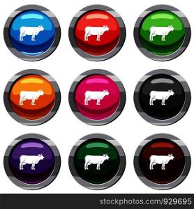 Cow set icon isolated on white. 9 icon collection vector illustration. Cow set 9 collection
