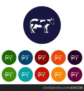 Cow set icons in different colors isolated on white background. Cow set icons