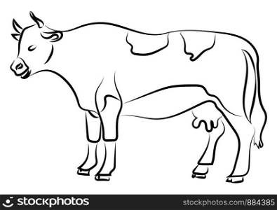 Cow side sketch, illustration, vector on white background.